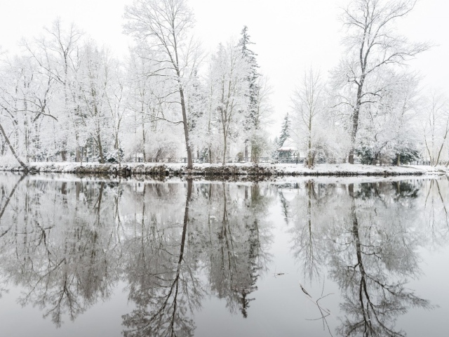 Oтражения деревъев в снегу