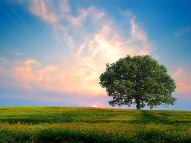 Свежая природа