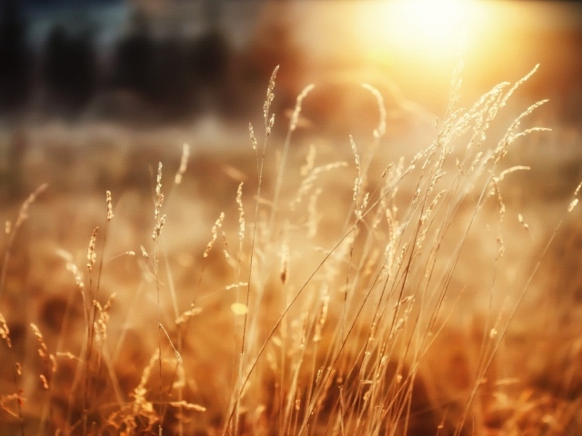 Утреннее сияние