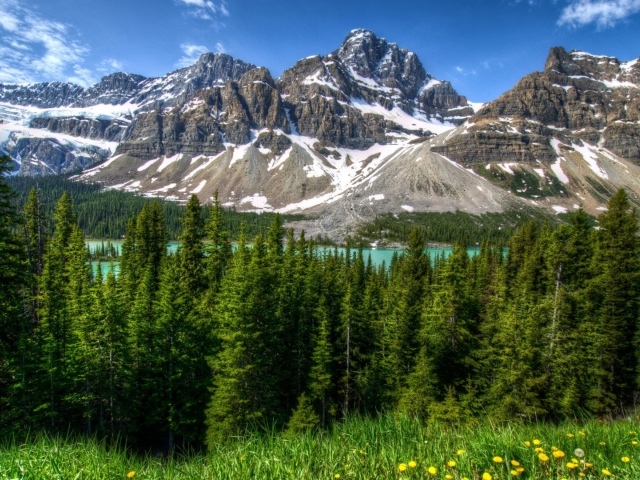 Вершины гор и одуванчики