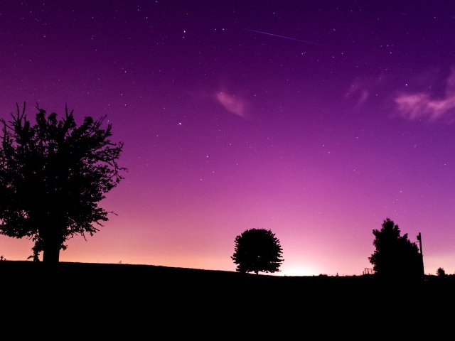 Розовая ночь