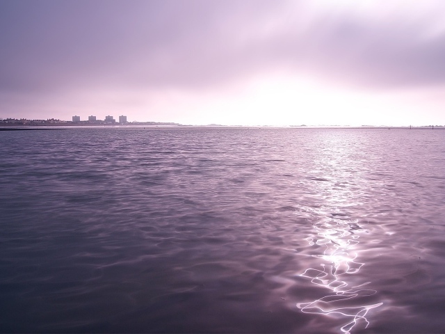 Фиолетовые сумерки