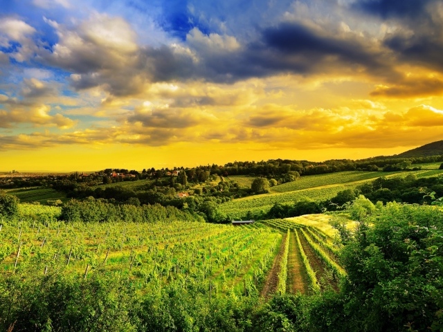 Pазработаная площадь полей