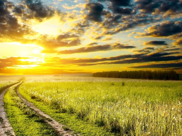 Дорога на закат