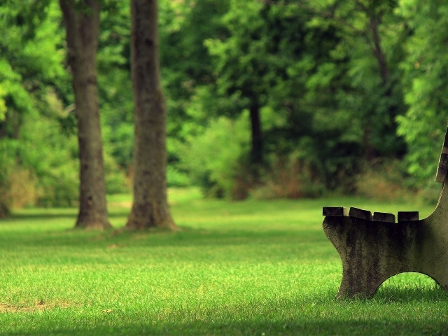 Бетонная скамъя в парке