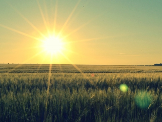 Закат в степи