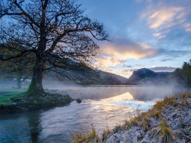 Ил на берегу