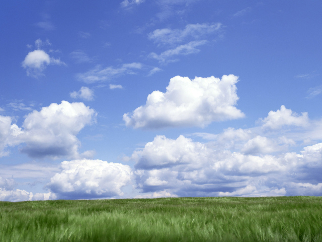 Облака над полем