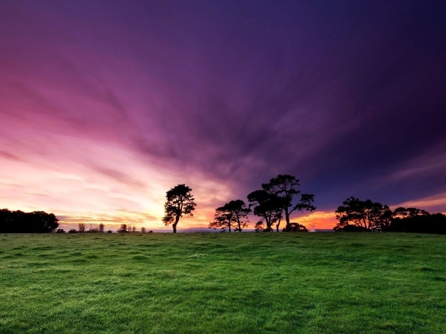 Утренние лучи солнца