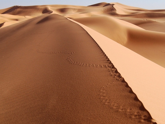 Следы на песке в пустыне