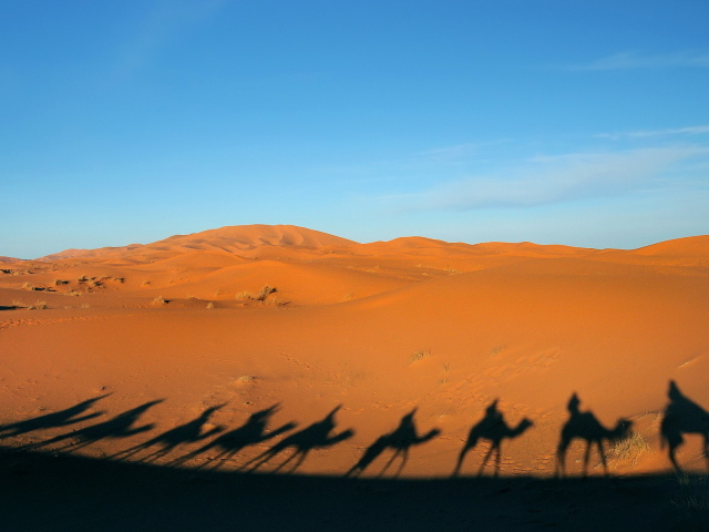 Тени каравана в пустыне