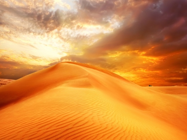 Золотой песок пустыни