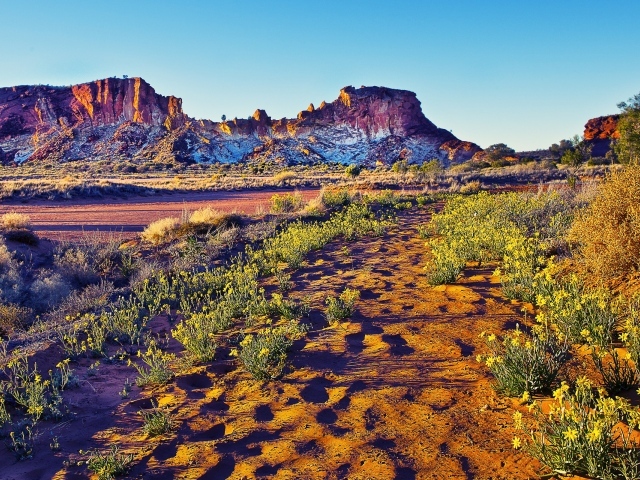 Закат в пустыне
