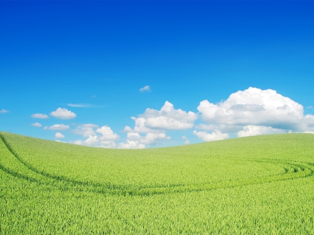 Прекрасный зеленый пейзаж