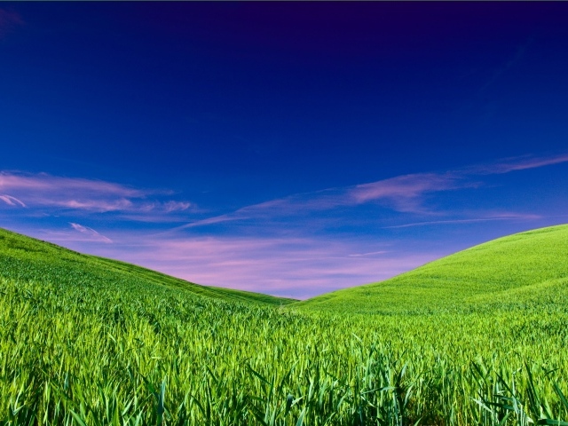 Чистое небо над полем