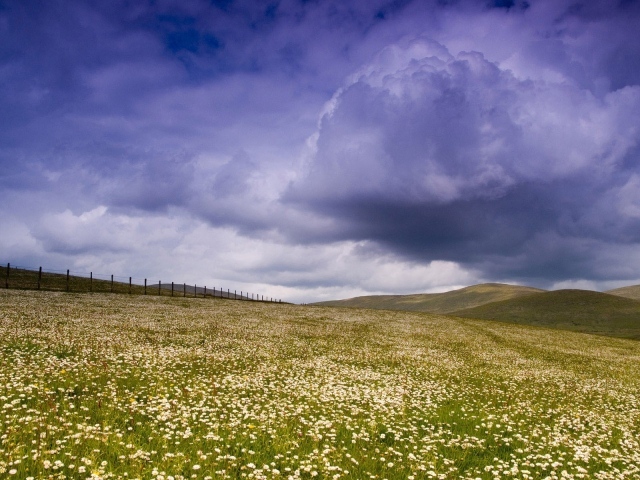 Облака над полем из ромашек