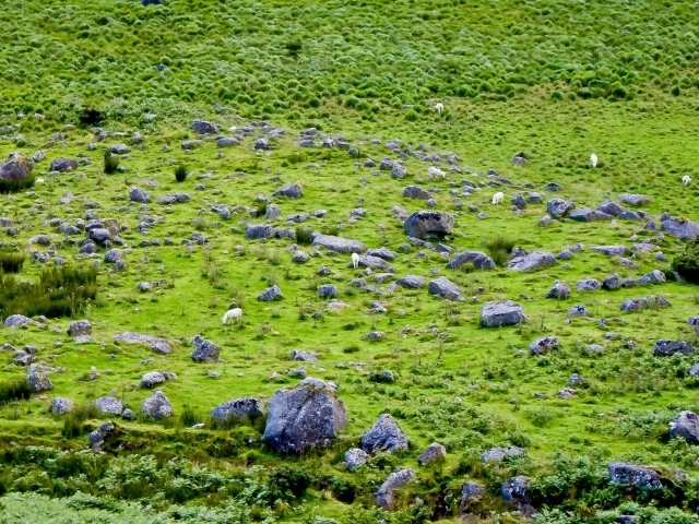 Английская природа