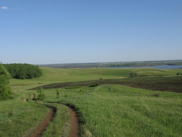 Поле и река