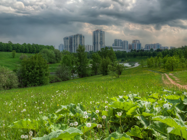 Поле на окраине города