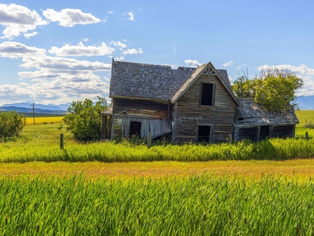 Старый дом в поле