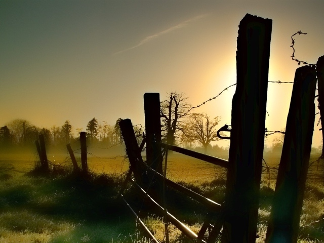 Старая ограда из колючей проволоки