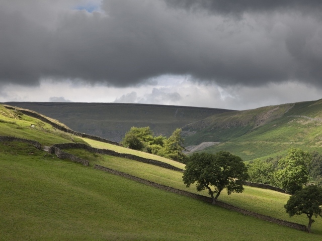 Поля огороженные заборами
