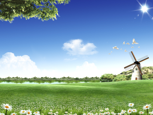 Летний солнечный день на поле