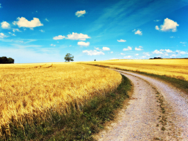 Дорога через поле