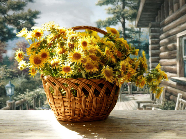 Красивые цветы хризантема в корзине