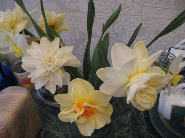 Красивые цветы нектароскордум в саду