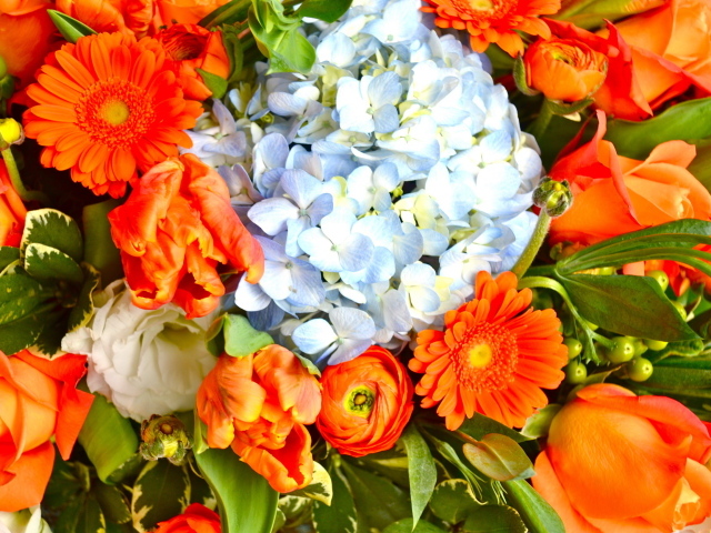 Красивые цветы гербера в парке