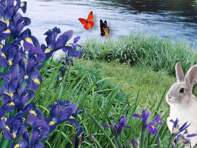 Заяц среди ирисов