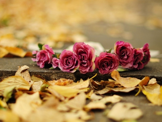 Возложеные цветы