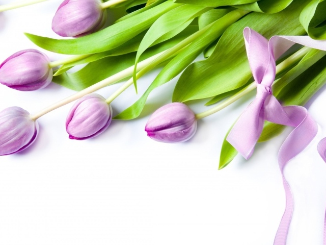 Фиолетовые цветы с бантом