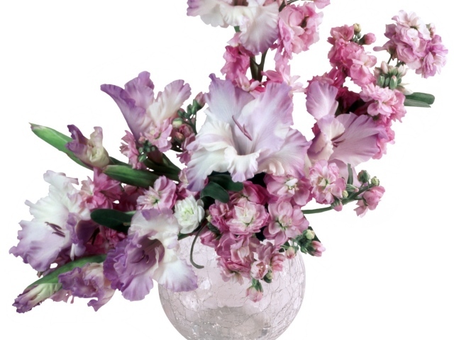 Сиреневые гладиолусы в вазе