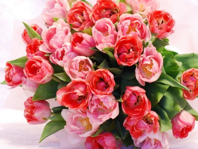 Красный букет