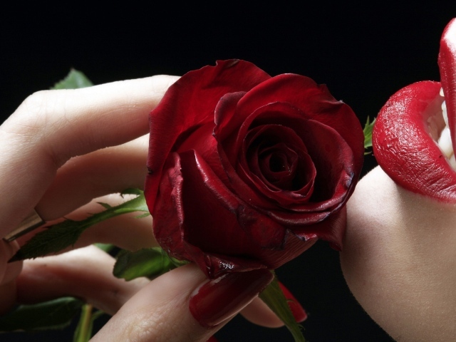 Красная роза у красных губ