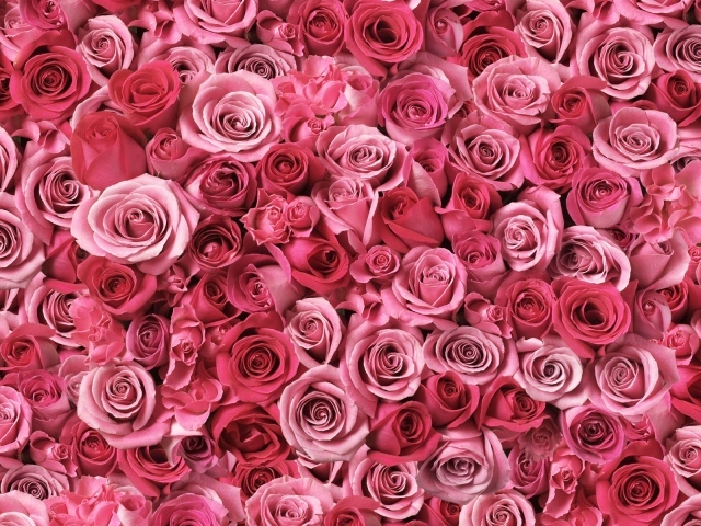 Спирали любви 