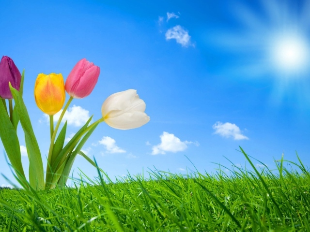 Весення природа