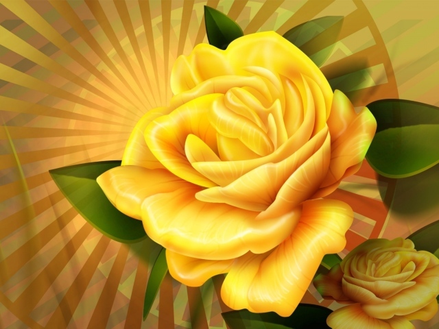 Желтая роза 