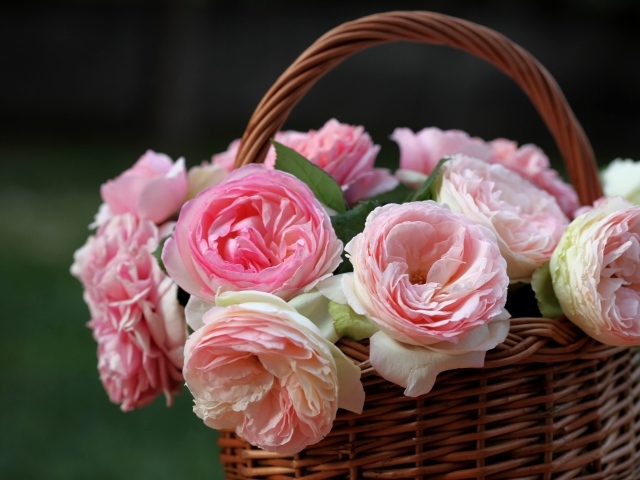 Корзина розовых цветков