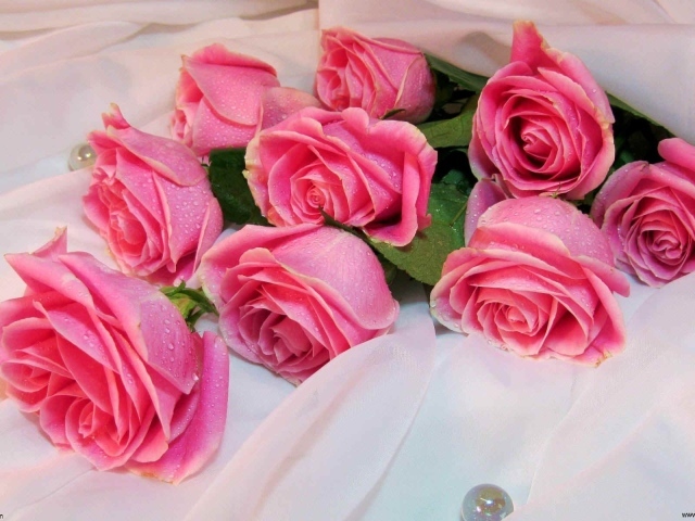 Букет роз на белом одеяле