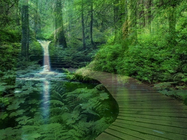 Лесной пейзаж с водопадом