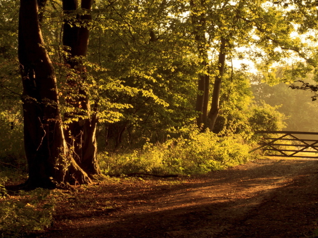 Забор на дороге
