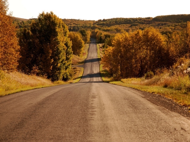 Пейзаж у дороги
