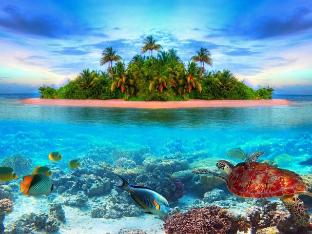 Остров в тропиках