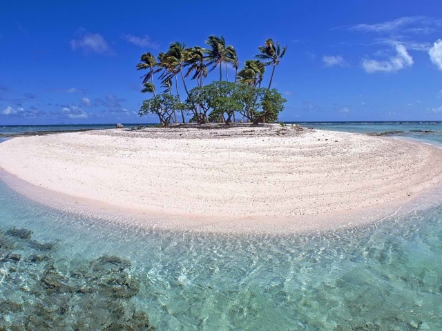 Маленький остров с деревьями