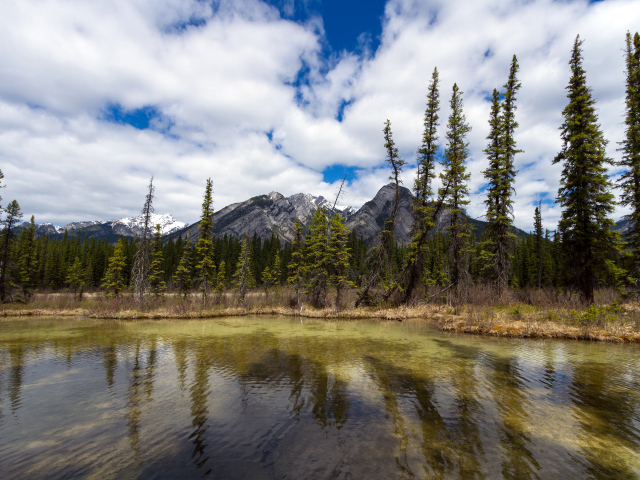 Маленькое озеро и красивые горы