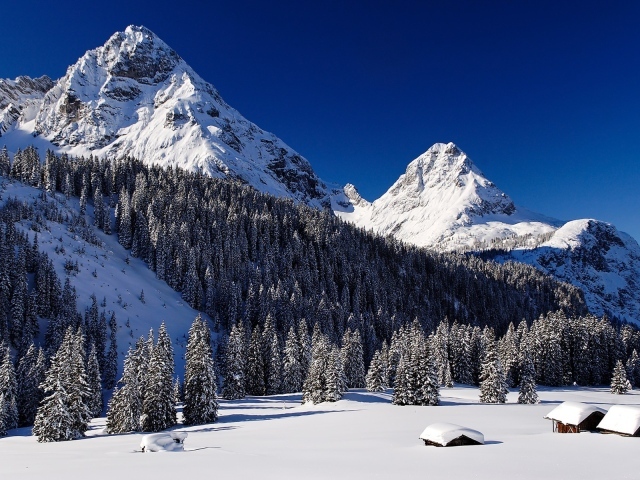 Снежные горы и лес в снегу