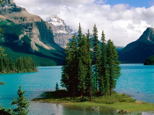 Остров с деревьями на озере